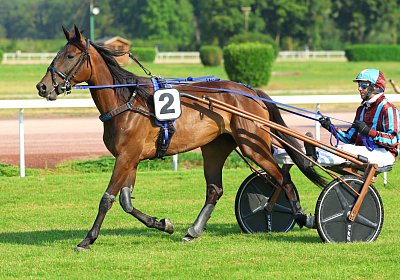 Avenches 2026 07 30 9N1A1534 Fanta