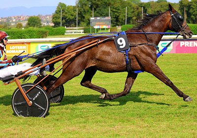 Avenches 2026 07 30 9N1A1645 Harper