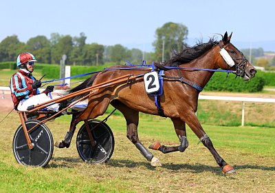 Avenches 2026 07 30 9N1A1887 Fanta