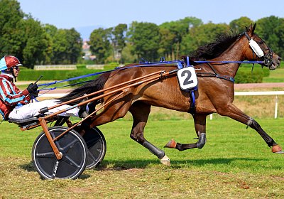Avenches 2026 07 30 9N1A1894 Fanta