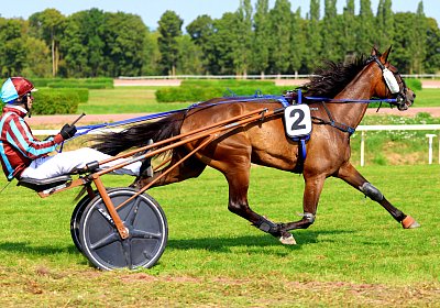 Avenches 2026 07 30 9N1A1898 Fanta