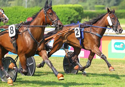 Avenches 2026 07 30 9N1A1975 Fanta