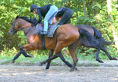 Lamorlaye 2026 08 01 9N1A3535 Beau Gars