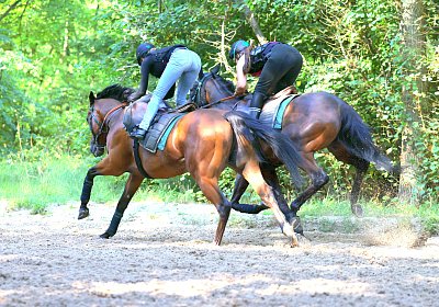 Lamorlaye 2026 08 01 9N1A3543 Beau Gars