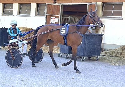 Avenches 2026 09 12 B IMG 5149 La Formidable