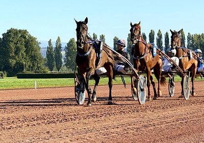 Avenches 2026 09 12 B IMG 5158 Fanta Miracle La Formidable