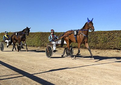 Avenches 2026 09 12 C IMG 5242 La Formidable Fanta