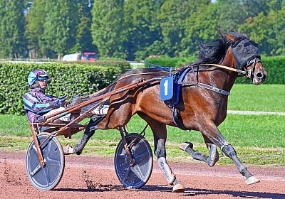 Avenches 2026 09 12 GB uw 03 04 it s showtime