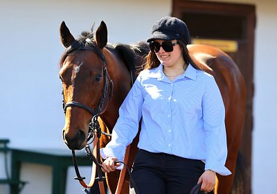 Fontainebleau 2026 03 17 9N1A7034 Beau Gars