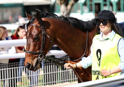 Fontainebleau 2026 03 17 9N1A7257 Beau Gars