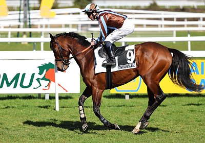 Fontainebleau 2026 03 17 9N1A7341 Beau Gars