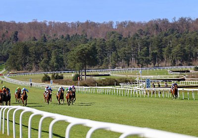 Fontainebleau 2026 03 17 9N1A7422 Beau Gars