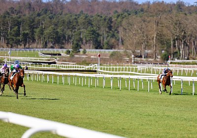 Fontainebleau 2026 03 17 9N1A7467 Beau Gars