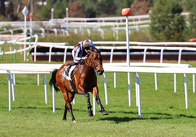 Fontainebleau 2026 03 17 9N1A7482 Beau Gars