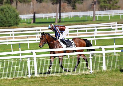 Fontainebleau 2026 03 17 9N1A7559 Beau Gars