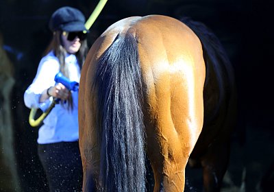 Fontainebleau 2026 03 17 9N1A7687 Beau Gars