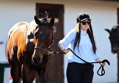 Fontainebleau 2026 03 17 9N1A7729 Beau Gars