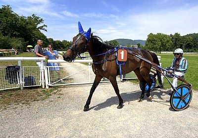 C IMG 0080 Fanta