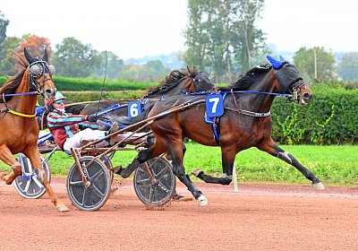 Avenches 2026 10 20 Q uw 03 06 it s showtime mendoza etc