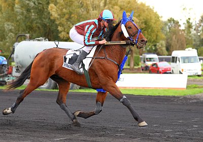 Strassburg 2026 10 23 9N1A2139 Kentucky