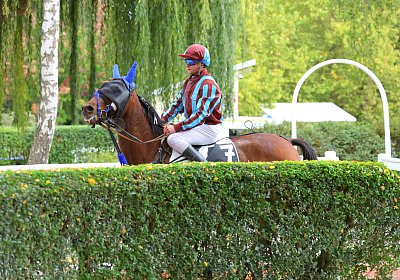 Strassburg 2026 10 23 9N1A2357 Kentucky