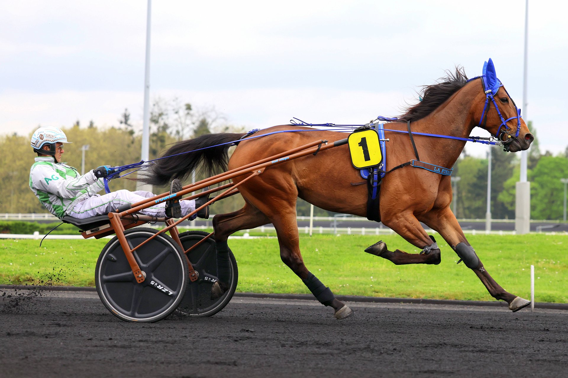 Stall News Vincennes, 11.4.2026: LA FORMIDABLE mit grandiosen 1:12,0 ...