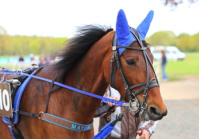 Rambouillet 2026 04 12 9N1A2971 Mayumi