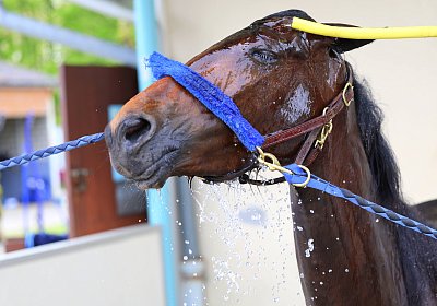 Rambouillet 2026 04 12 9N1A3859 Mayumi