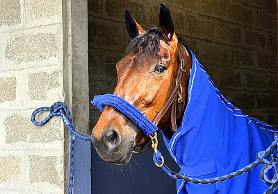 Rambouillet 2026 04 12 IMG 8029 Mayumi