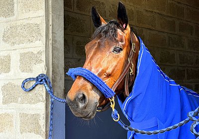 Rambouillet 2026 04 12 IMG 8030 Mayumi