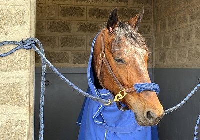 Rambouillet 2026 04 12 IMG 8033 Mayumi