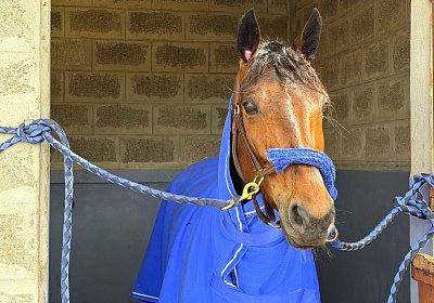 Rambouillet 2026 04 12 IMG 8034 Mayumi