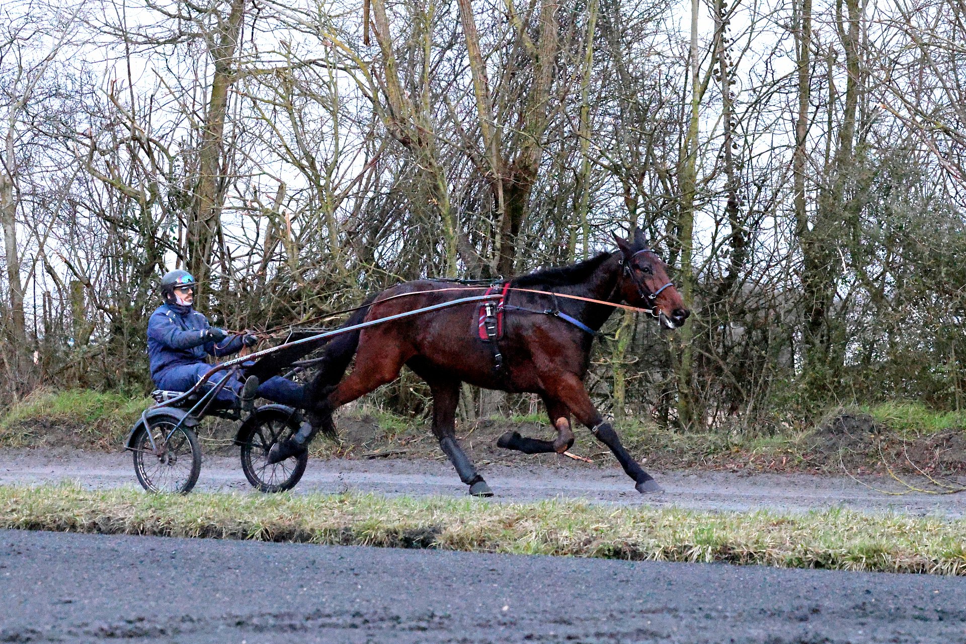 St. Moritz, 08.02.2026