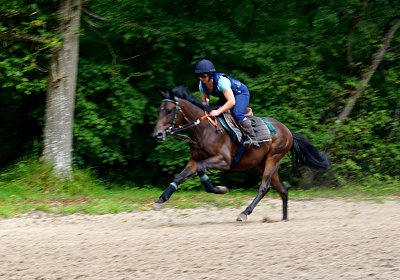 DSC09731 Viennas Pride August2025