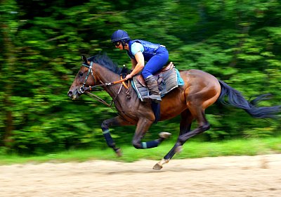 DSC09736 Viennas Pride August2025