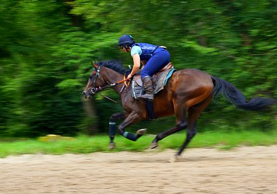 DSC09739 Viennas Pride August2025