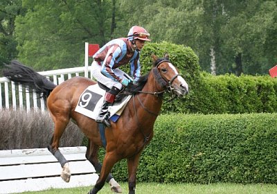 IMG 7577 600x400.jpg