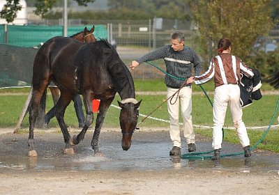 Wohlverdiente Dusche