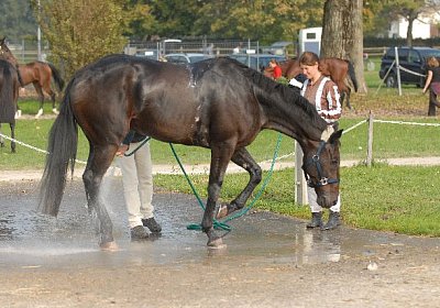 Wo ist hier die Badewanne?