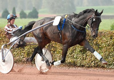 Beim Aufw?rmen strotzt Galion vor Kraft
