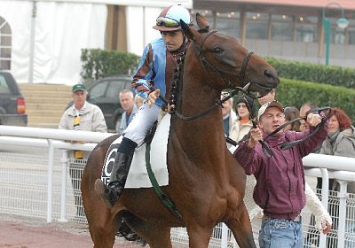 Heeee, was willst denn Du??