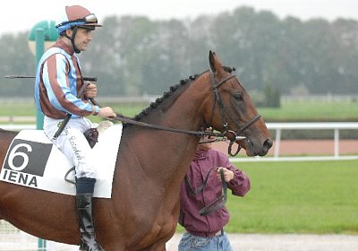 Rayyan kurz vor seinem ersten Renn-Auftritt