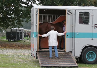 Rayyan ist in der hinteren Boxe