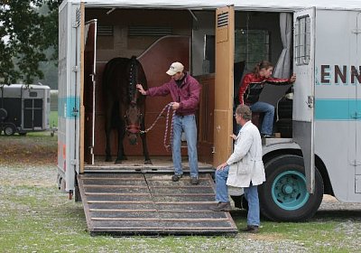 Jetzt nur nicht wieder 30 Minuten...