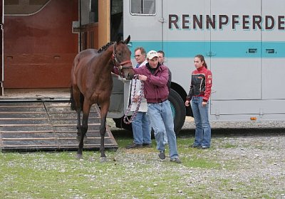 Schon werden die Ohren gespitzt