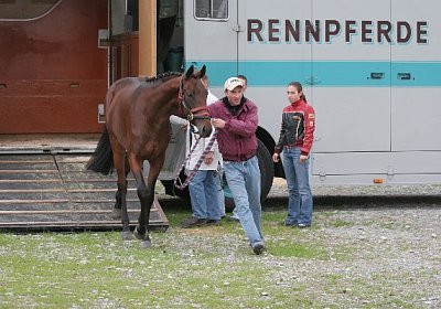 Gegend auskundschaften