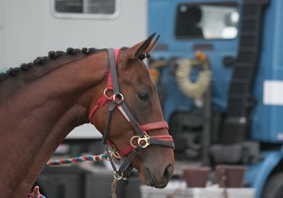Einen Franken f?r seine Gedanken!