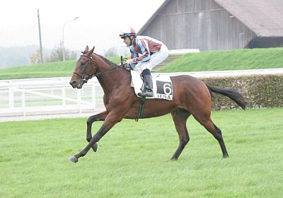 Rayyans erster Aufgalopp...