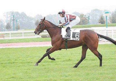 Ein sch?ner Kerl, oder?!