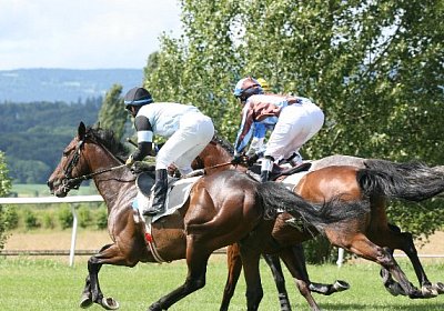 IMG 0756 600x400.jpg